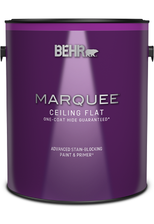 One 3.79 L can of Marquee ceiling paint