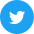 Twitter Social Icon