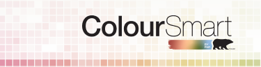 Colorsmart logo in mobile
