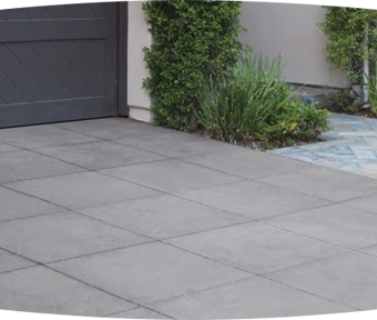 A driveway with greenery around it