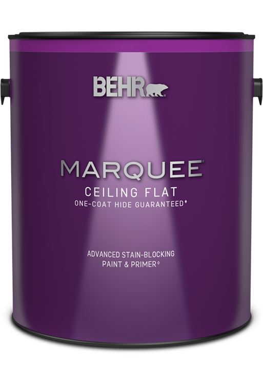 One 3.79 L can of Marquee ceiling paint