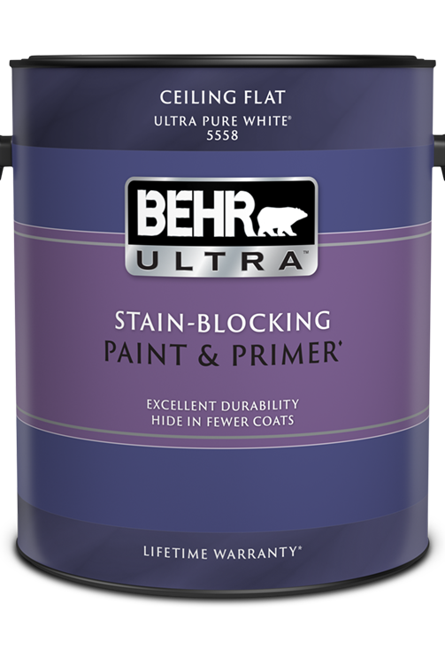 One 3.79 L can of Behr Ultra ceiling paint