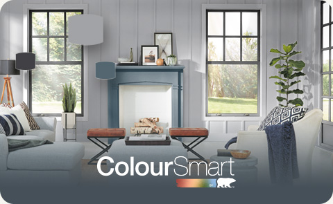 coloursmart image