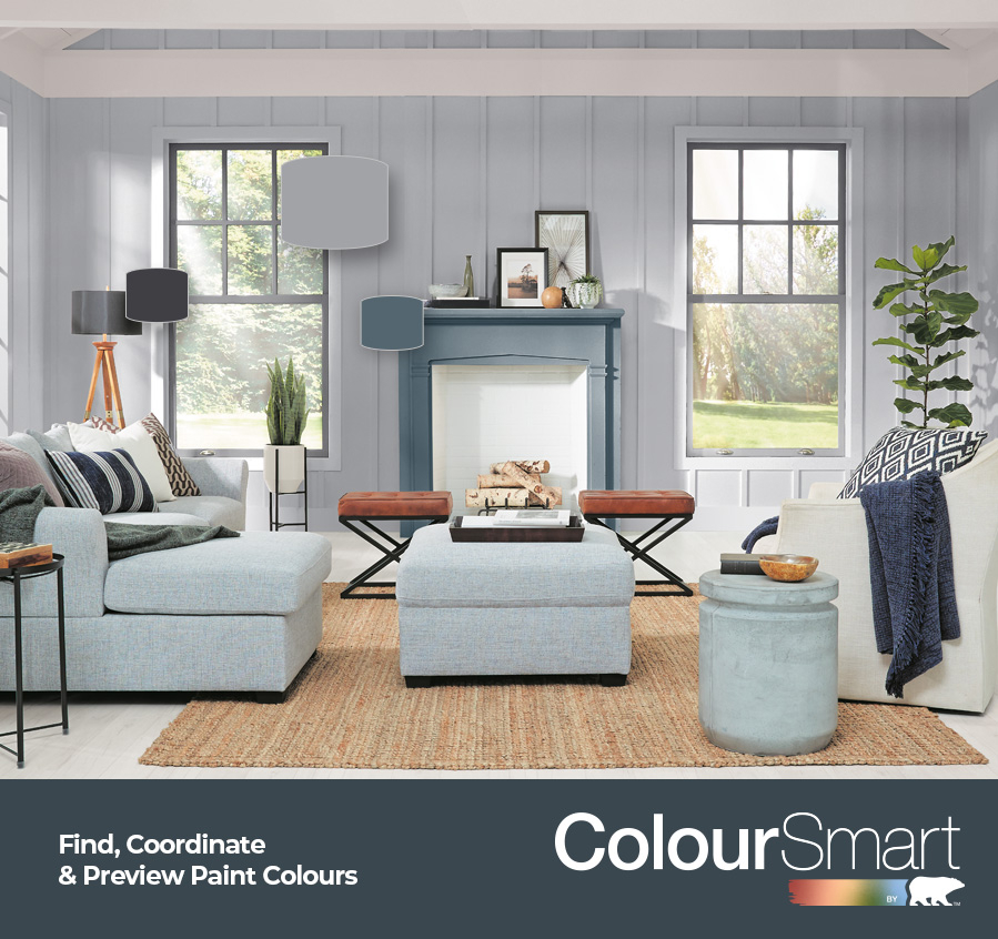 Coloursmart Banner