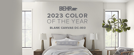 2024 Colour of the Year image