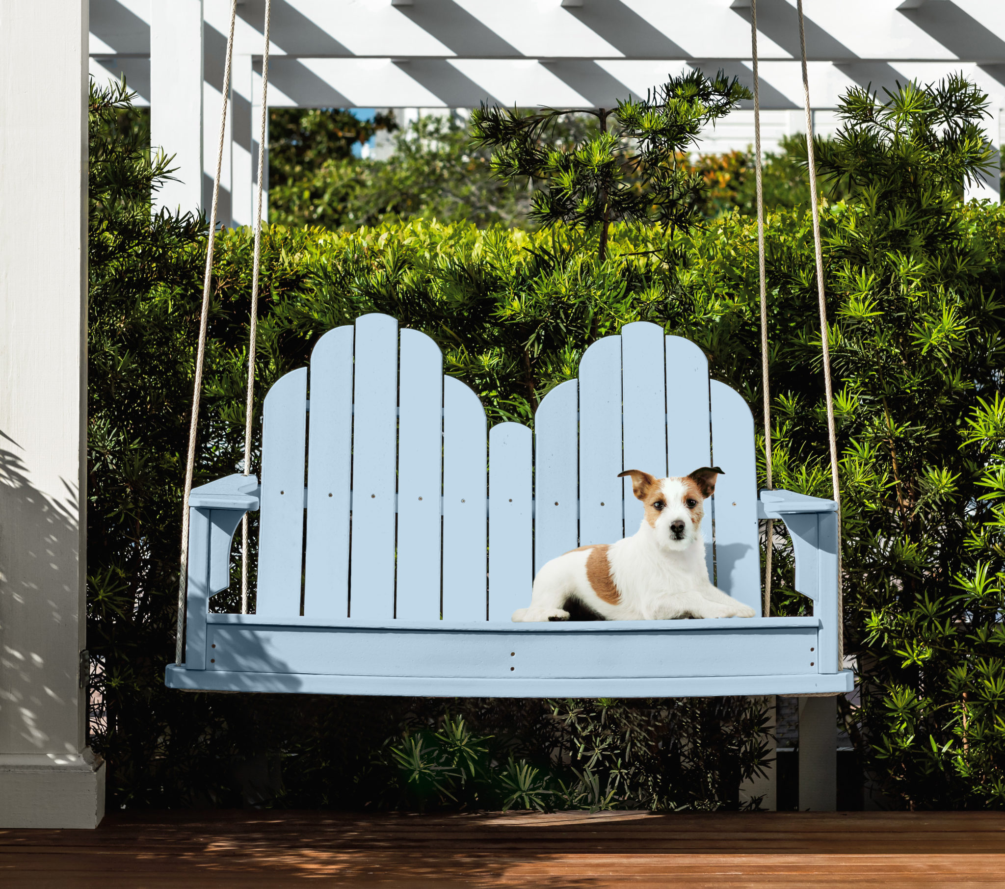 A patio lounge area with a blue wooden swing. The is a small size white and brown dog laying on the swing.  The outdoor area features a spring green garden. 