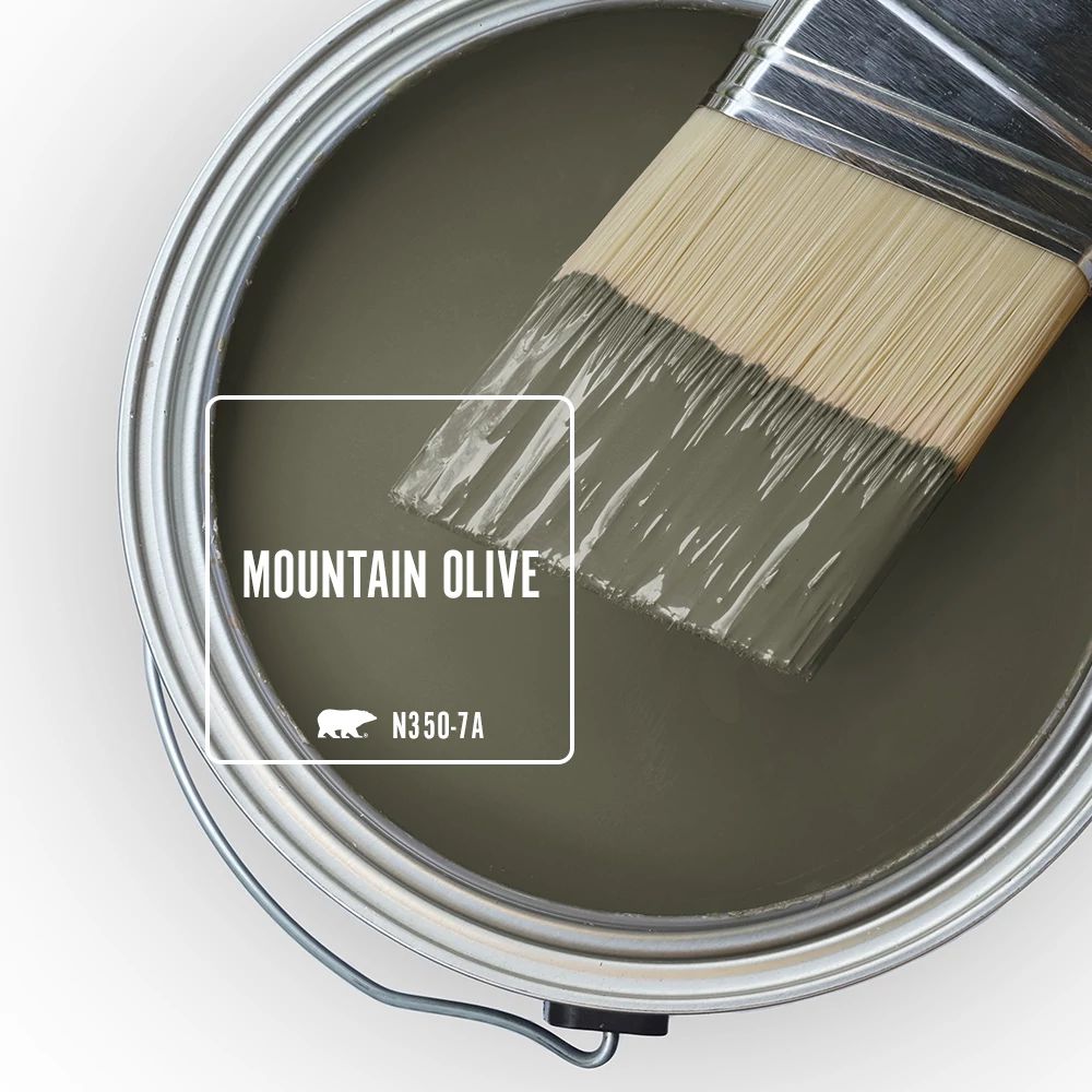 The top view of an open paint can featuring the colour Mountain Olive