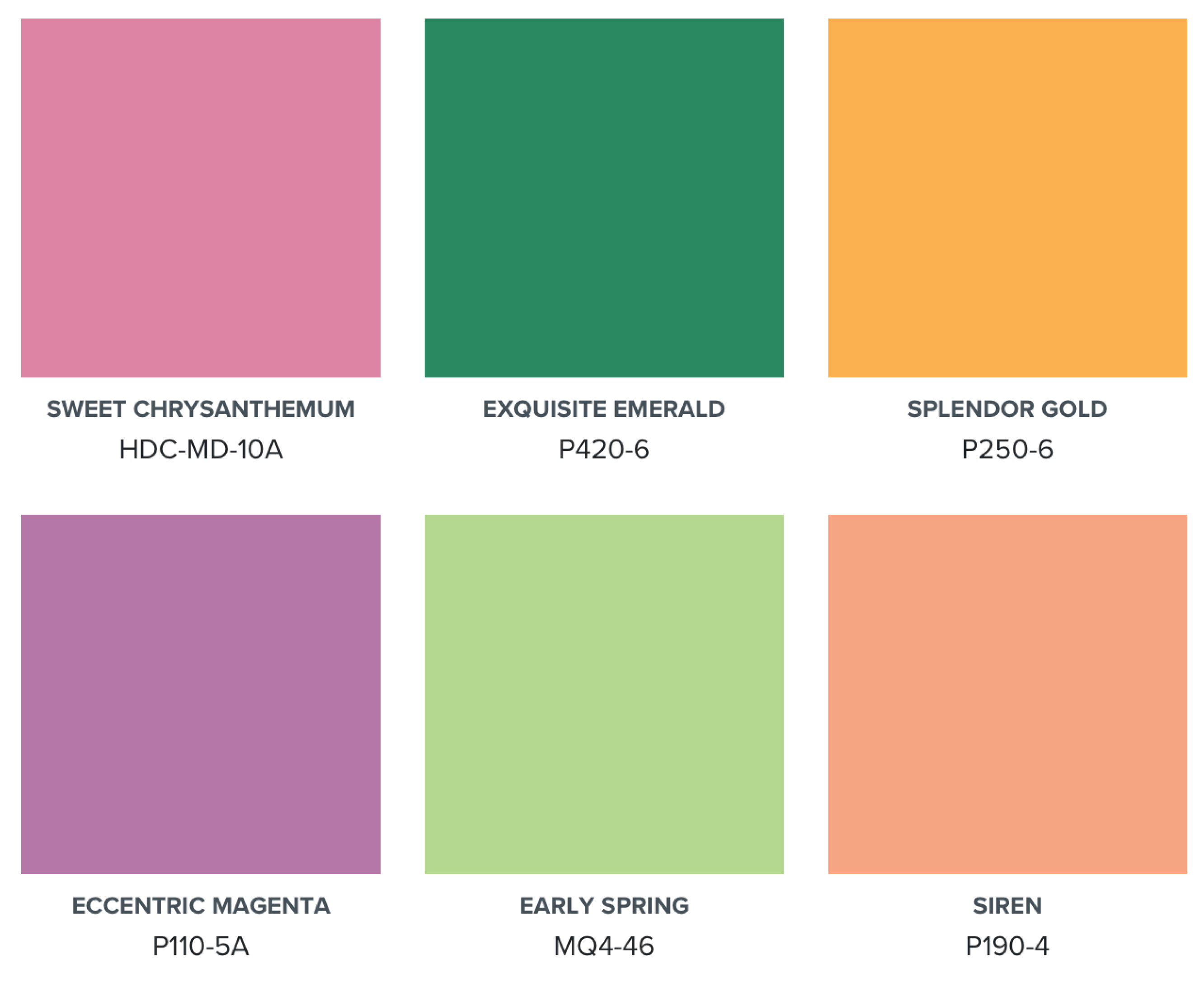 A colour palette with bold and bright hues