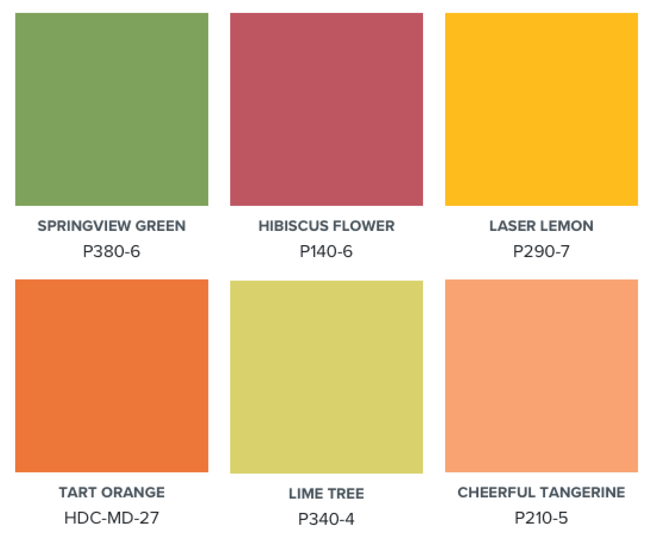 A colour palette showing bright and bold oranges, yellow, red and green.