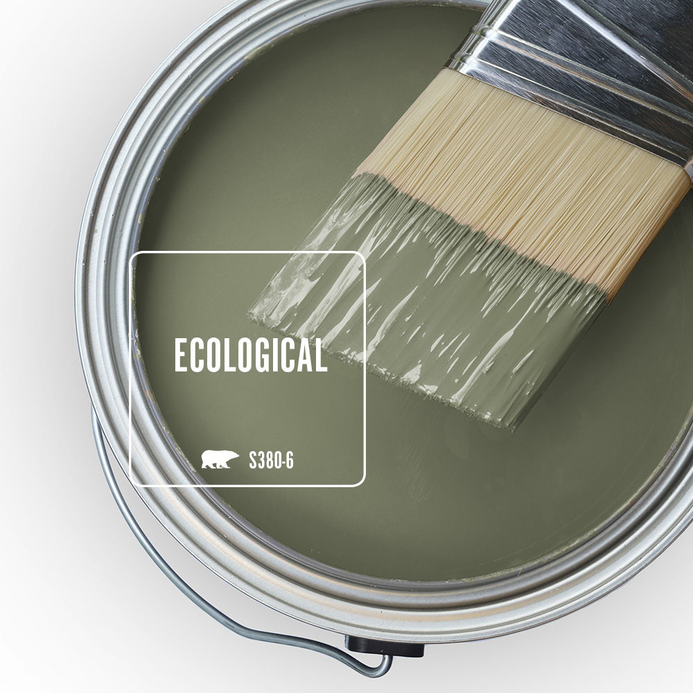 An open paint can filled with olive-green paint called Ecological. There is a half-dipped paint brush resting across the rim.