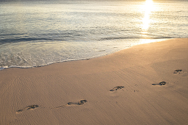 Sandy Beaches Image