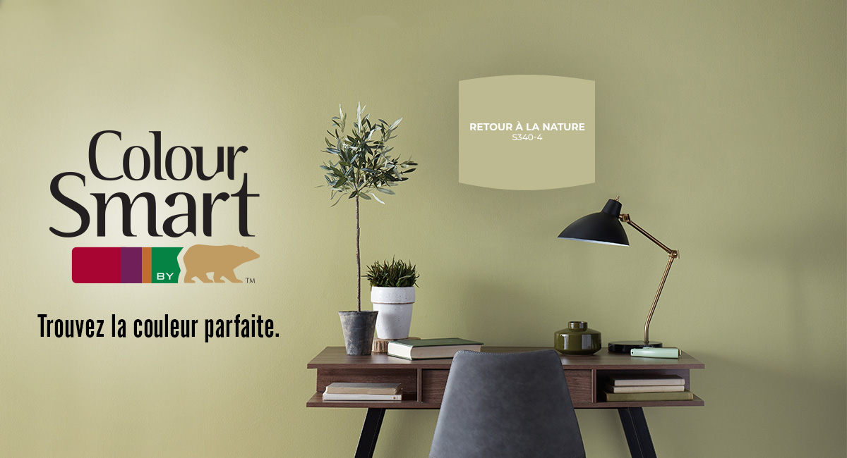 ColorSmart Promo - French